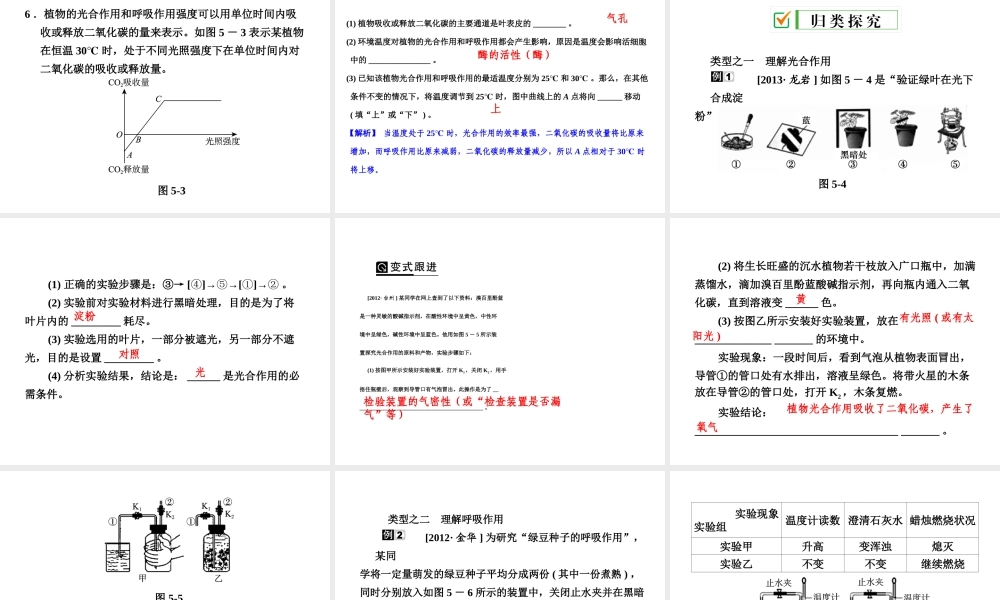 【全效学习 中考学练测】2014中考科学总复习 第5课时 光合作用和呼吸作用（考点管理+归类探究+易错警示+限时集训）课件 新人教版