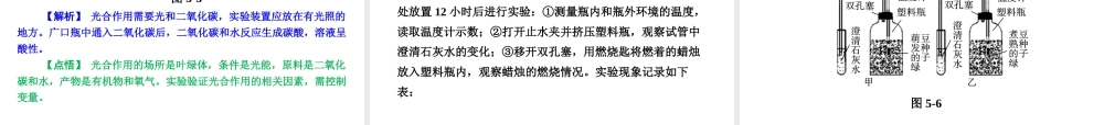 【全效学习 中考学练测】2014中考科学总复习 第5课时 光合作用和呼吸作用（考点管理+归类探究+易错警示+限时集训）课件 新人教版