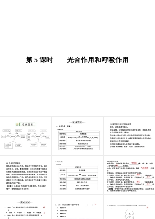 【全效学习 中考学练测】2014中考科学总复习 第5课时 光合作用和呼吸作用（考点管理+归类探究+易错警示+限时集训）课件 新人教版