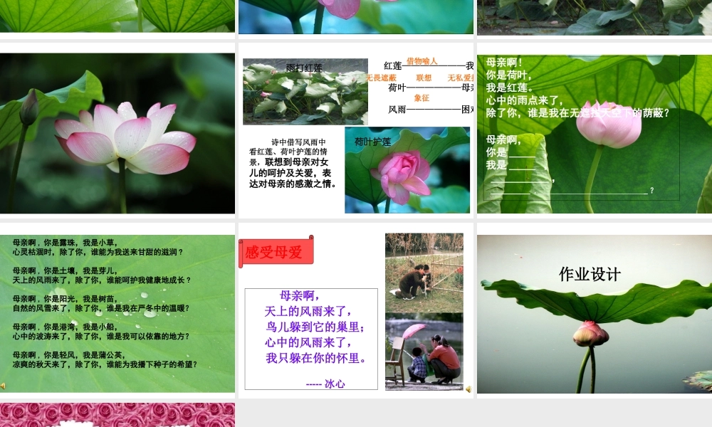 2018年七年级语文上册 第二单元 7 散文诗二首《荷叶 母亲》课件 新人教版