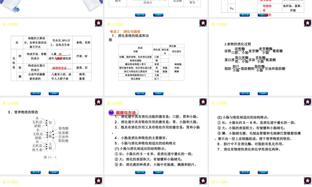 【中考复习方案】（包头）中考生物总复习 第三单元 生物圈中的人课件（考点聚焦+规律与方法） 新人教版