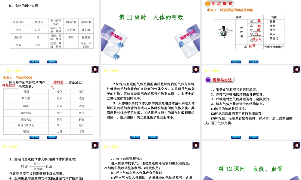 【中考复习方案】（包头）中考生物总复习 第三单元 生物圈中的人课件（考点聚焦+规律与方法） 新人教版
