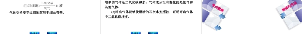 【中考复习方案】（包头）中考生物总复习 第三单元 生物圈中的人课件（考点聚焦+规律与方法） 新人教版