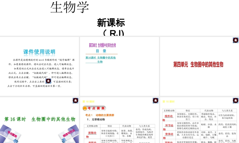 【中考复习方案】（包头）中考生物总复习 第四单元 生物圈中的其他生物课件（考点聚焦+规律与方法） 新人教版