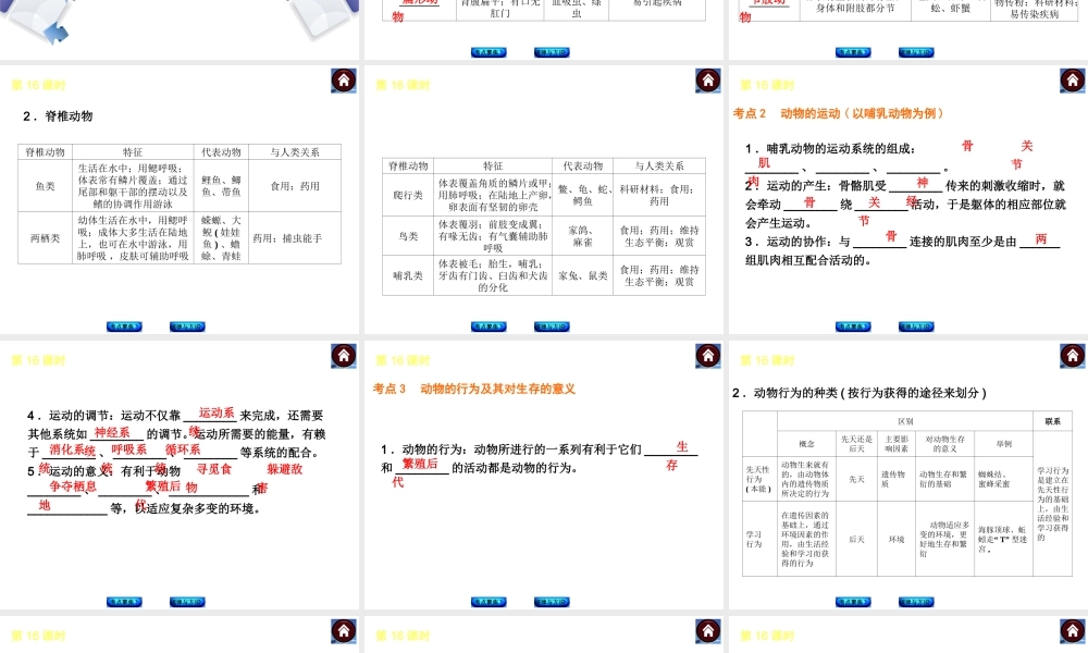 【中考复习方案】（包头）中考生物总复习 第四单元 生物圈中的其他生物课件（考点聚焦+规律与方法） 新人教版