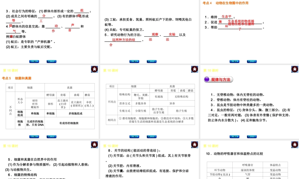 【中考复习方案】（包头）中考生物总复习 第四单元 生物圈中的其他生物课件（考点聚焦+规律与方法） 新人教版