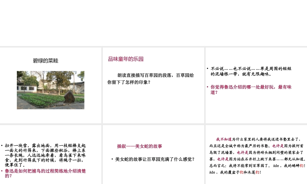 2018年七年级语文上册 第三单元 9 从百草园到三味书屋课件2 新人教版