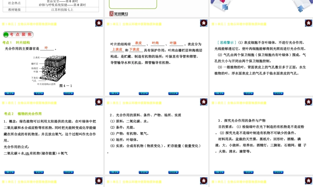 【中考复习方案】（淮安）2015中考生物教材梳理 第3单元 生物从环境中获取物质和能量课件