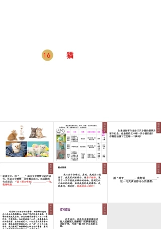 2018年七年级语文上册 第五单元 16 猫课件1 新人教版