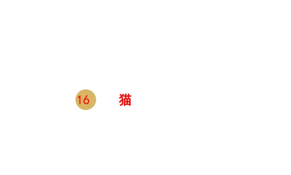 2018年七年级语文上册 第五单元 16 猫课件2 新人教版