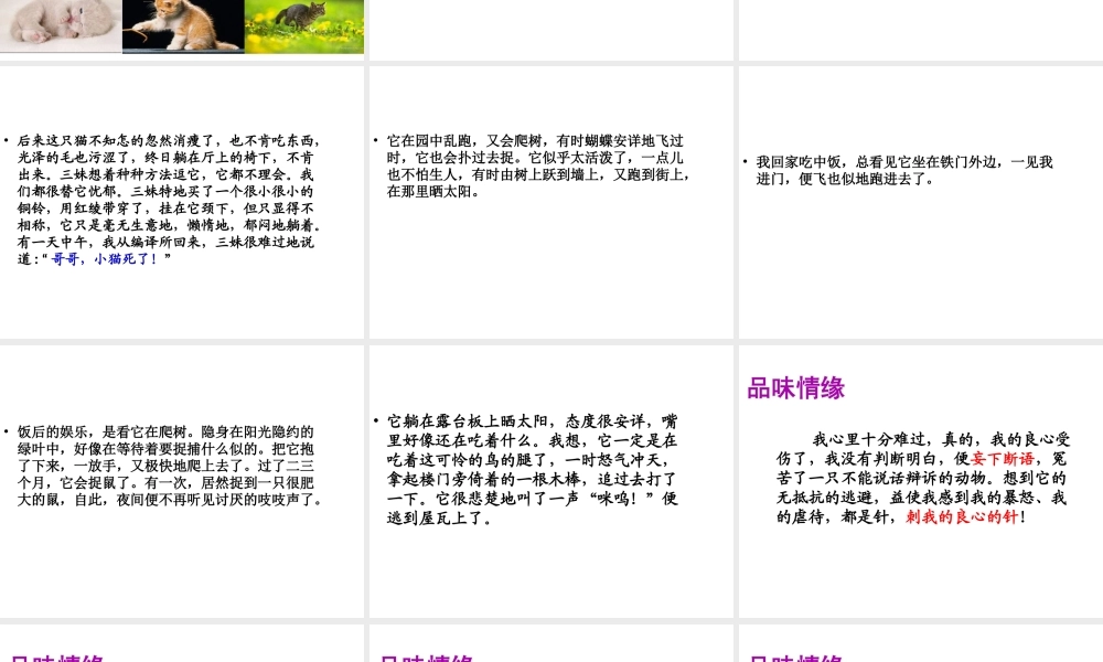 2018年七年级语文上册 第五单元 16 猫课件2 新人教版