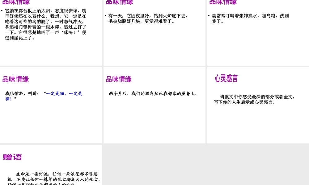 2018年七年级语文上册 第五单元 16 猫课件2 新人教版