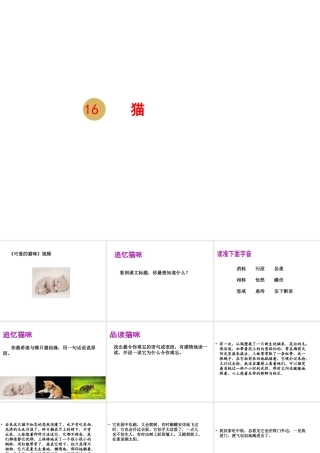 2018年七年级语文上册 第五单元 16 猫课件2 新人教版