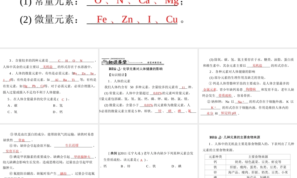 【优化课堂】2012年九年级化学 第十二单元 课题2 化学元素与人体健康