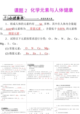 【优化课堂】2012年九年级化学 第十二单元 课题2 化学元素与人体健康