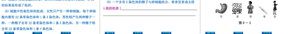 【中考复习方案】（淮安）2015中考生物教材梳理 第4单元 环境中生物的统一性课件