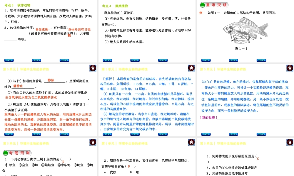 【中考复习方案】（淮安）2015中考生物教材梳理 第5单元 环境中生物的多样性课件