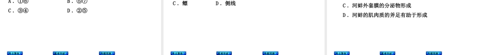 【中考复习方案】（淮安）2015中考生物教材梳理 第5单元 环境中生物的多样性课件