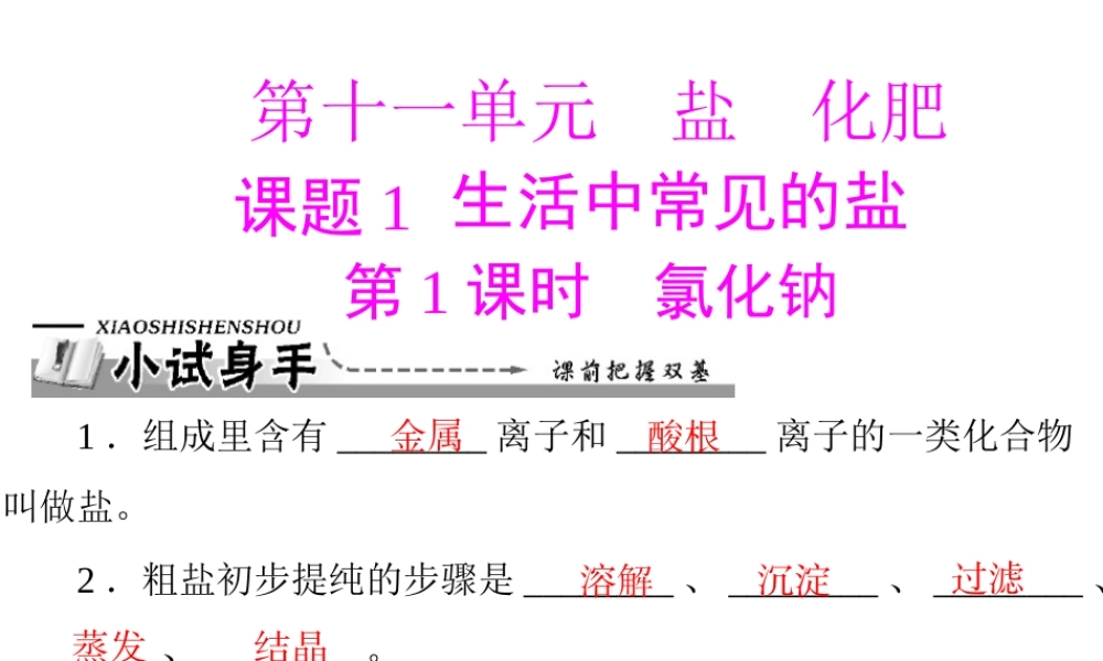 【优化课堂】2012年九年级化学 第十一单元 课题1 第1课时 氯化钠