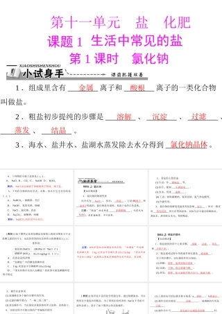 【优化课堂】2012年九年级化学 第十一单元 课题1 第1课时 氯化钠