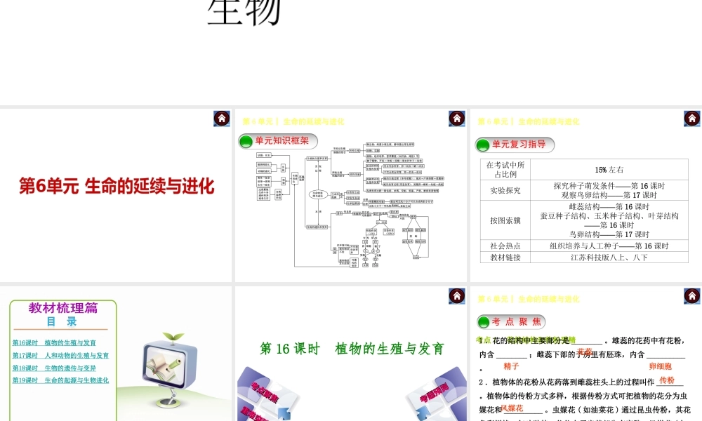 【中考复习方案】（淮安）2015中考生物教材梳理 第6单元 生命的延续与进化课件