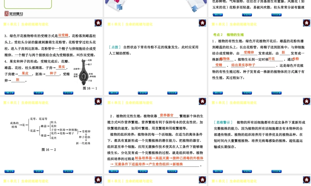【中考复习方案】（淮安）2015中考生物教材梳理 第6单元 生命的延续与进化课件