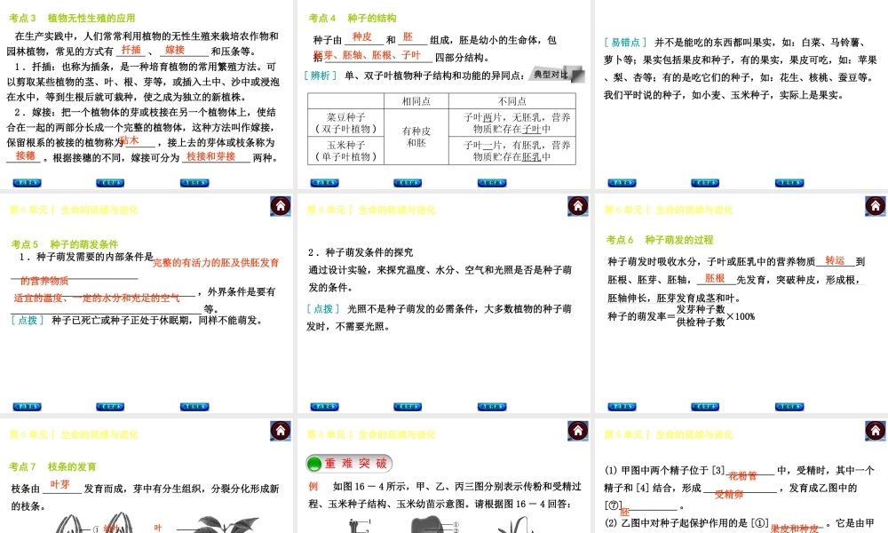 【中考复习方案】（淮安）2015中考生物教材梳理 第6单元 生命的延续与进化课件