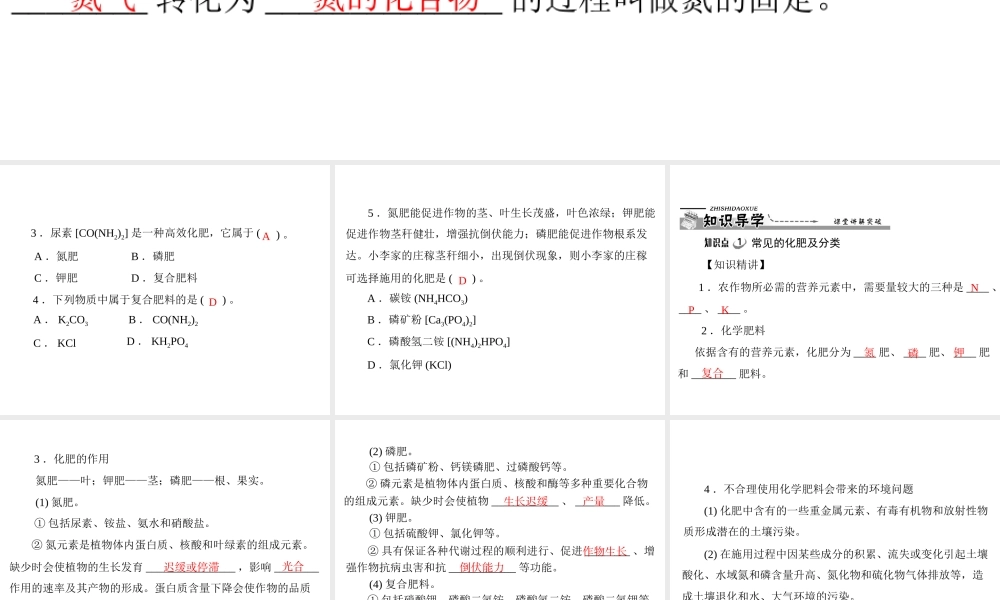 【优化课堂】2012年九年级化学 第十一单元 课题2 化学肥料课件 新人教版