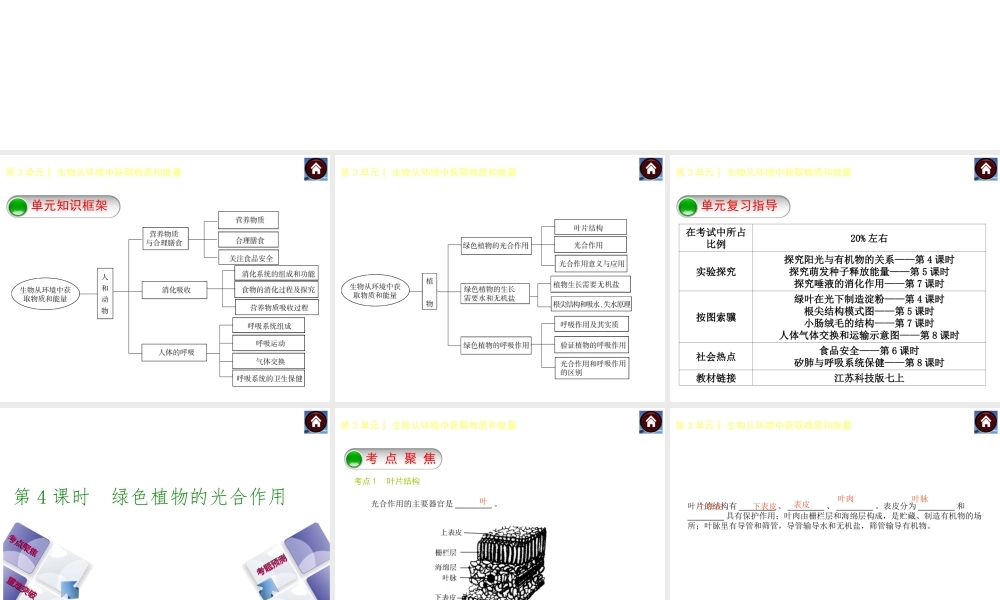 【中考复习方案】（淮安）2015中考生物总复习 第4课时 绿色植物的光合作用课件
