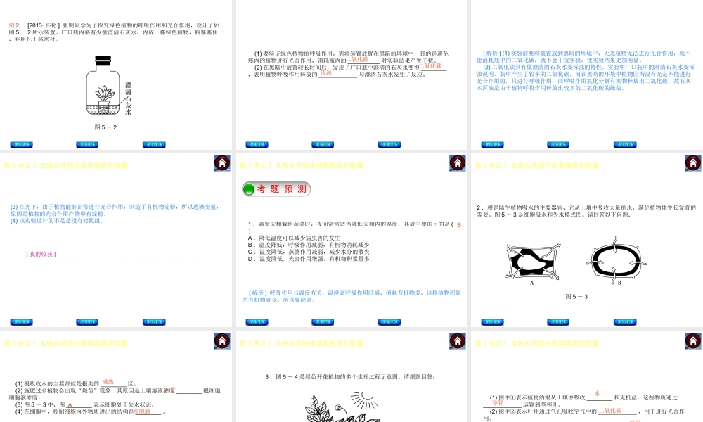 【中考复习方案】（淮安）2015中考生物总复习 第5课时 绿色植物的呼吸作用和根的吸收作用课件