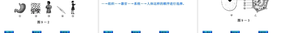 【中考复习方案】（淮安）2015中考生物总复习 第9课时 生物体的结构课件