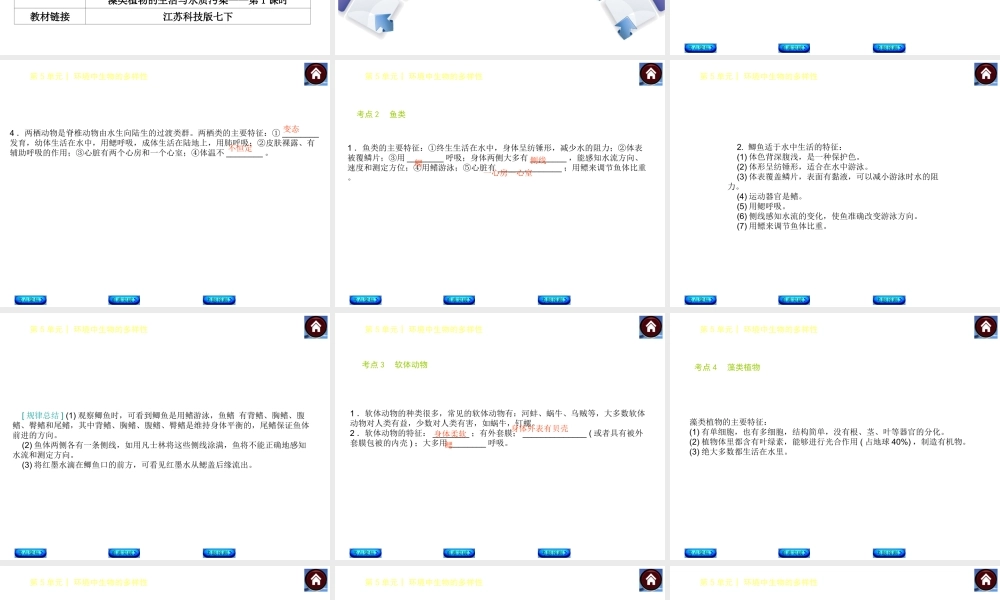【中考复习方案】（淮安）2015中考生物总复习 第10课时 水中的生物课件