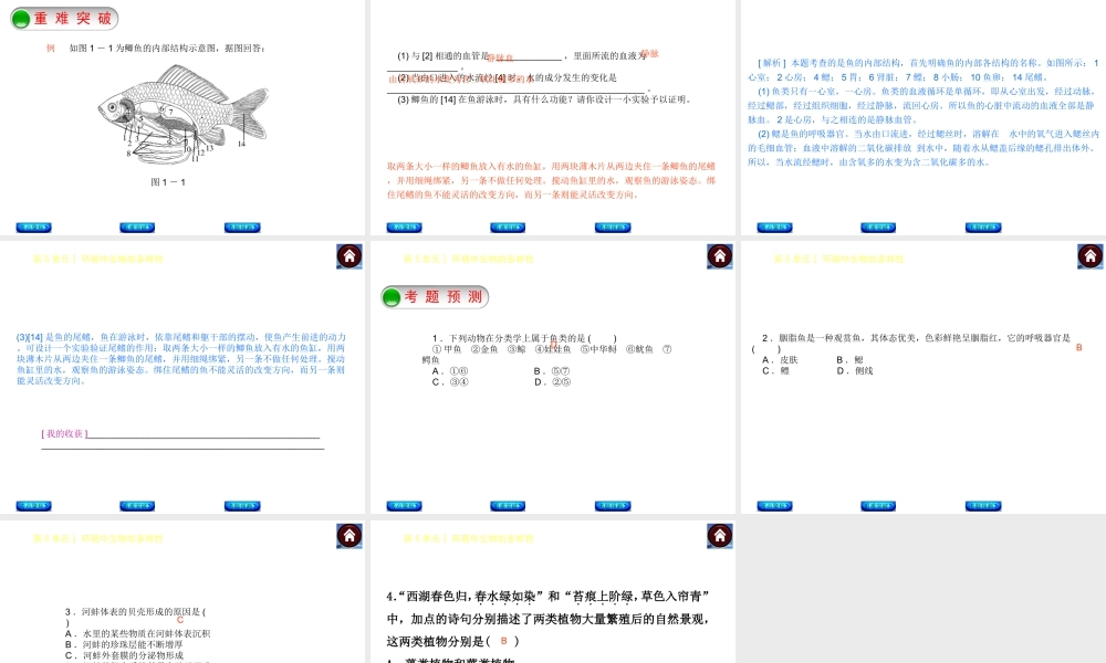 【中考复习方案】（淮安）2015中考生物总复习 第10课时 水中的生物课件