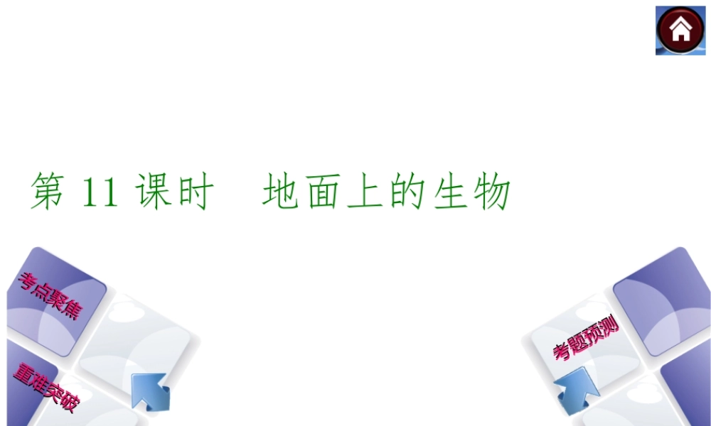 【中考复习方案】（淮安）2015中考生物总复习 第11课时 地面上的生物课件