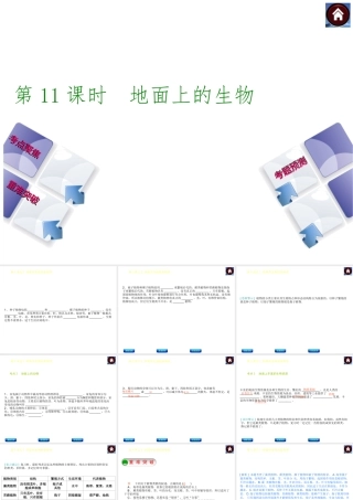 【中考复习方案】（淮安）2015中考生物总复习 第11课时 地面上的生物课件