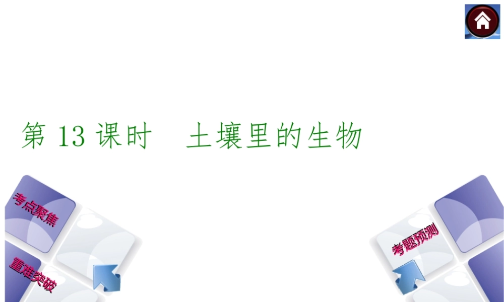 【中考复习方案】（淮安）2015中考生物总复习 第13课时 土壤里的生物课件