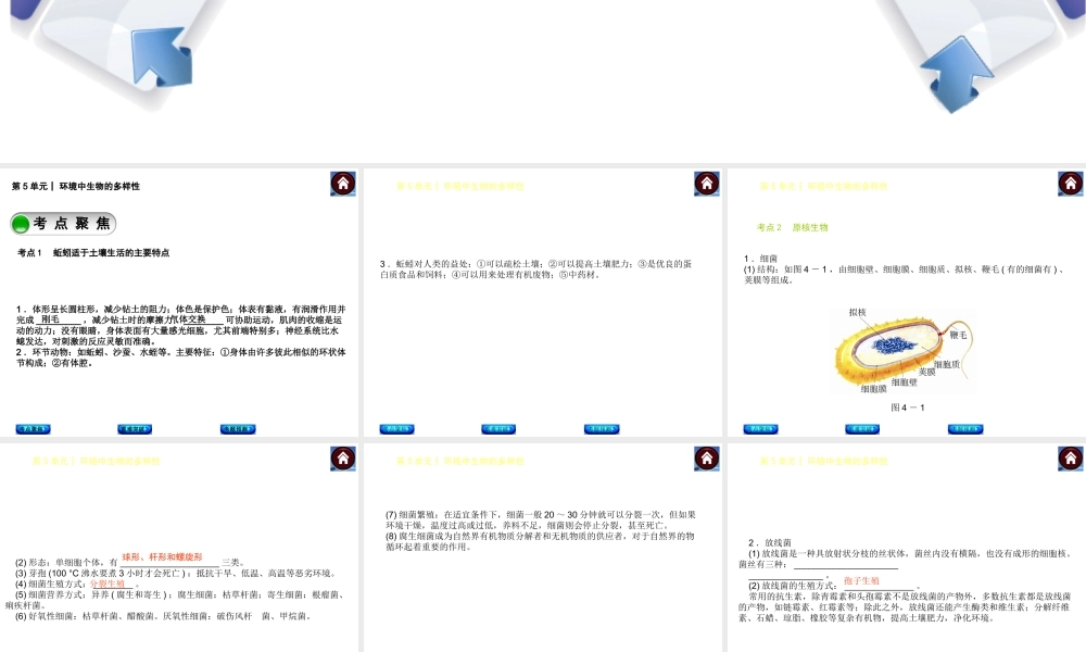 【中考复习方案】（淮安）2015中考生物总复习 第13课时 土壤里的生物课件