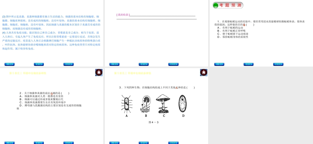 【中考复习方案】（淮安）2015中考生物总复习 第13课时 土壤里的生物课件
