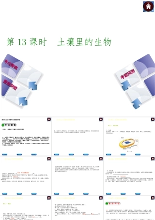 【中考复习方案】（淮安）2015中考生物总复习 第13课时 土壤里的生物课件