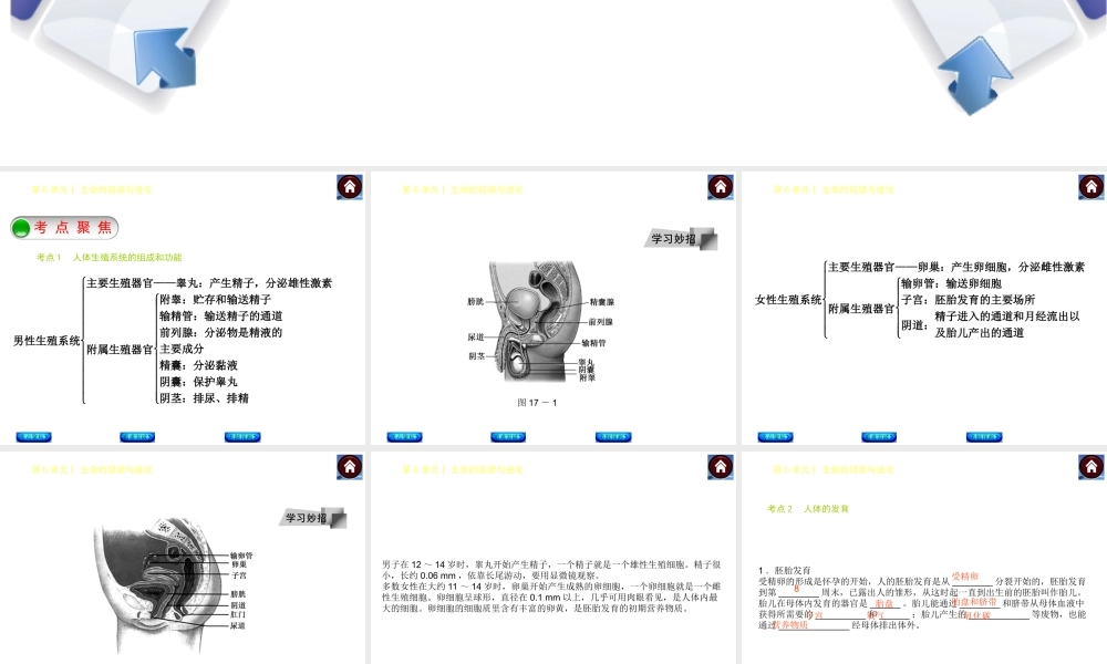 【中考复习方案】（淮安）2015中考生物总复习 第17课时 人和动物的生殖与发育课件
