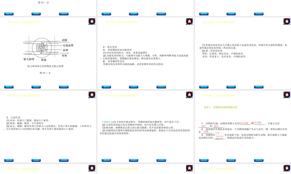 【中考复习方案】（淮安）2015中考生物总复习 第17课时 人和动物的生殖与发育课件