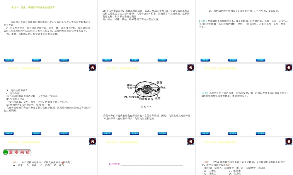 【中考复习方案】（淮安）2015中考生物总复习 第17课时 人和动物的生殖与发育课件