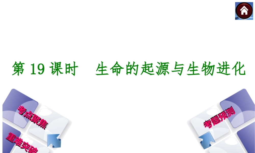 【中考复习方案】（淮安）2015中考生物总复习 第19课时 生命的起源与生物进化课件