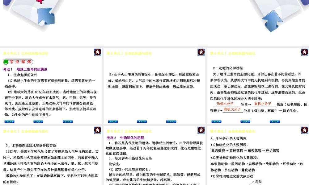 【中考复习方案】（淮安）2015中考生物总复习 第19课时 生命的起源与生物进化课件