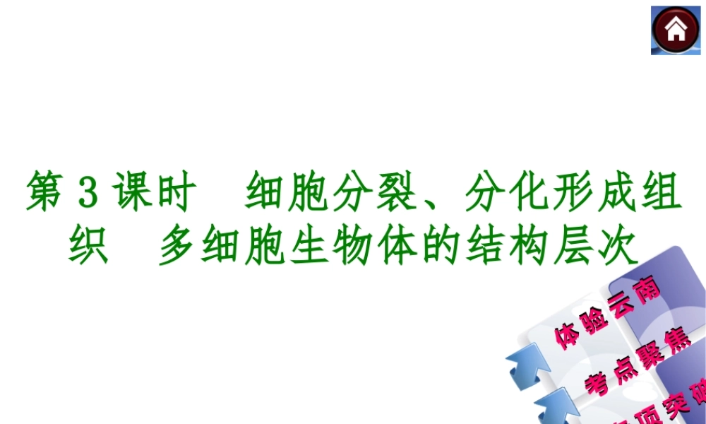 【中考复习方案】（云南）2015中考生物总复习 第3课时 细胞分裂、分化形成组织　多细胞生物体的结构层次课件（体验云南+考点聚焦+专项突破）