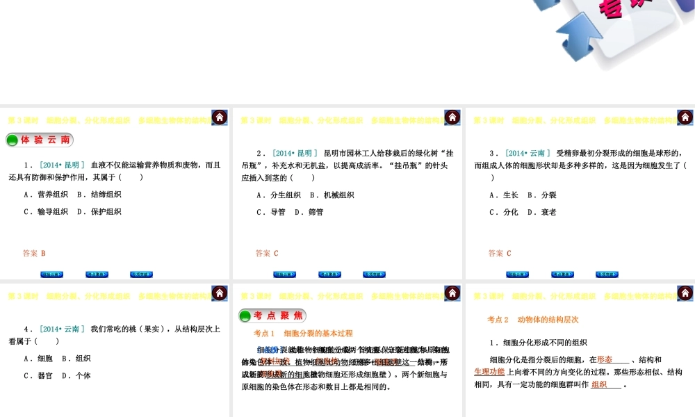 【中考复习方案】（云南）2015中考生物总复习 第3课时 细胞分裂、分化形成组织　多细胞生物体的结构层次课件（体验云南+考点聚焦+专项突破）