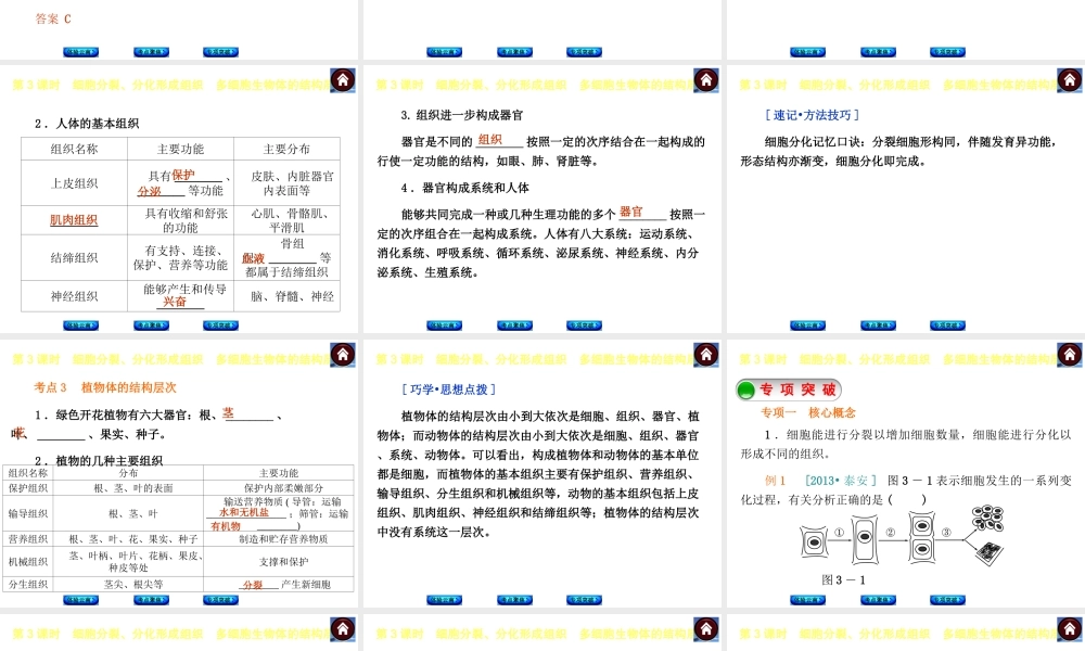 【中考复习方案】（云南）2015中考生物总复习 第3课时 细胞分裂、分化形成组织　多细胞生物体的结构层次课件（体验云南+考点聚焦+专项突破）