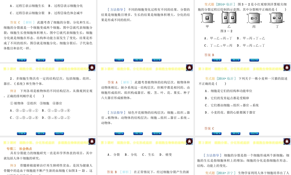 【中考复习方案】（云南）2015中考生物总复习 第3课时 细胞分裂、分化形成组织　多细胞生物体的结构层次课件（体验云南+考点聚焦+专项突破）
