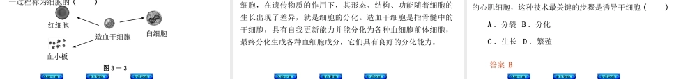 【中考复习方案】（云南）2015中考生物总复习 第3课时 细胞分裂、分化形成组织　多细胞生物体的结构层次课件（体验云南+考点聚焦+专项突破）