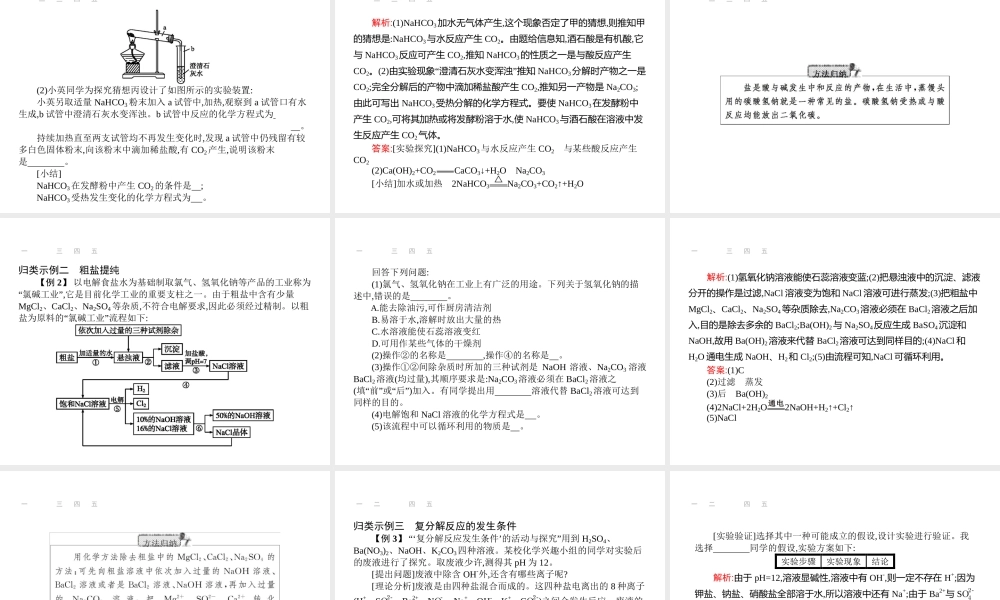 【优化设计】（福建专版）2015中考化学总复习 第十一单元 盐 化肥课件